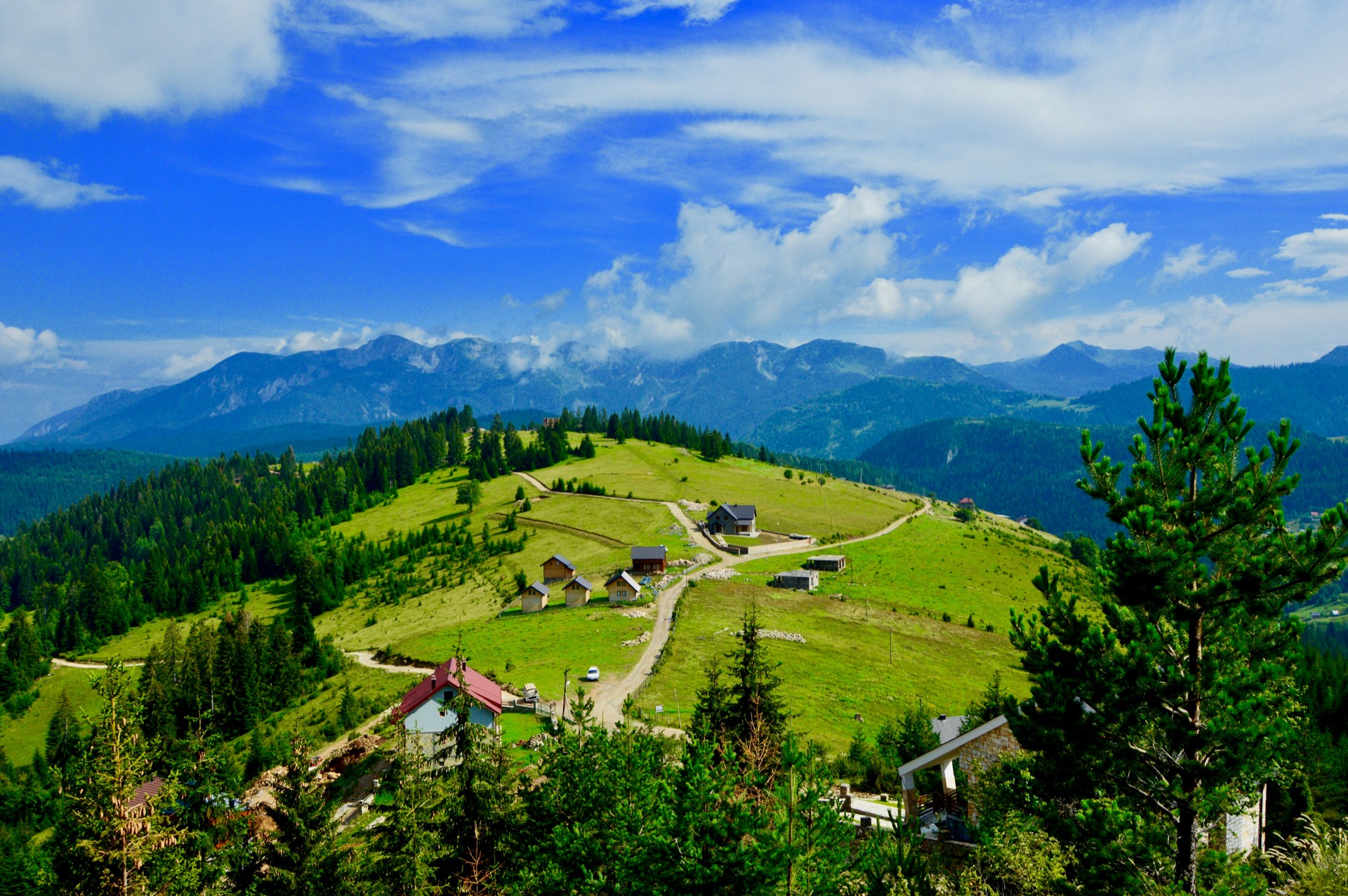 Pejë